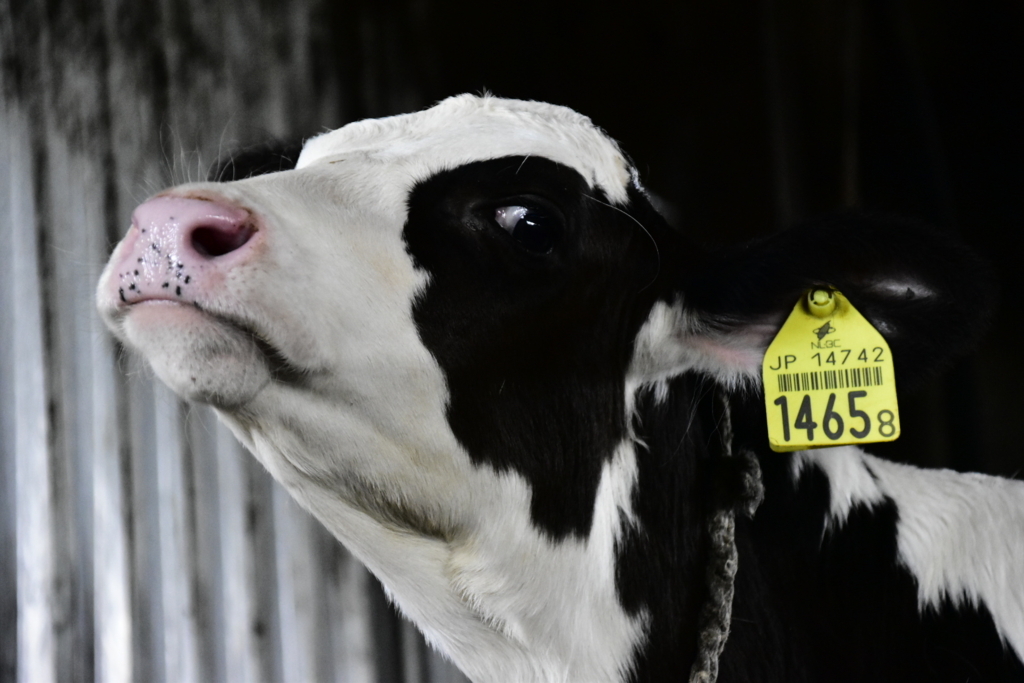 f:id:sakurakura0:20180610202224j:plain f:id:sakurakura0:20180610202224j:plain