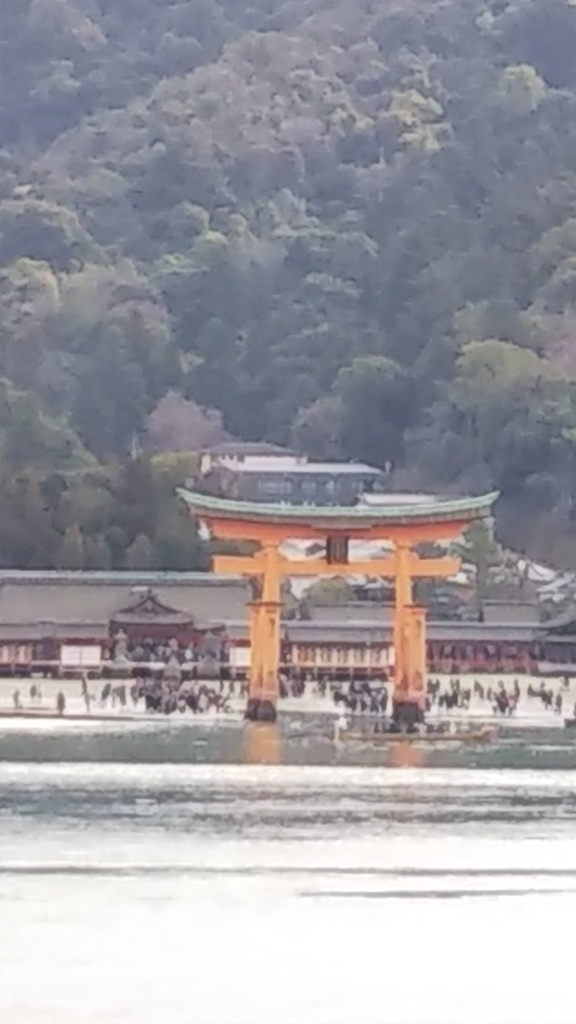 f:id:sakuramarimo:20190102204959j:plain