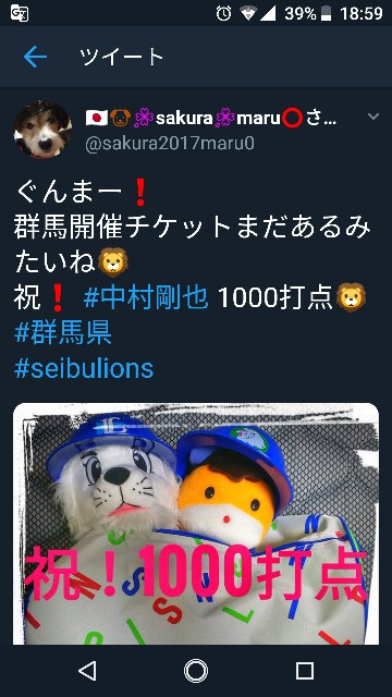 f:id:sakuramaru-japan:20190110190727j:image