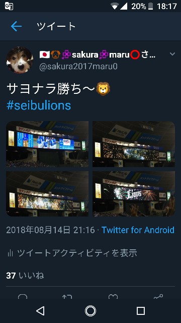 f:id:sakuramaru-japan:20190114115814j:image