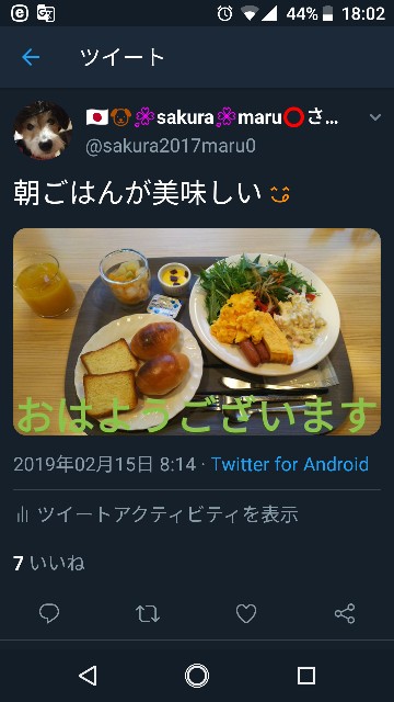 f:id:sakuramaru-japan:20190226180331j:image