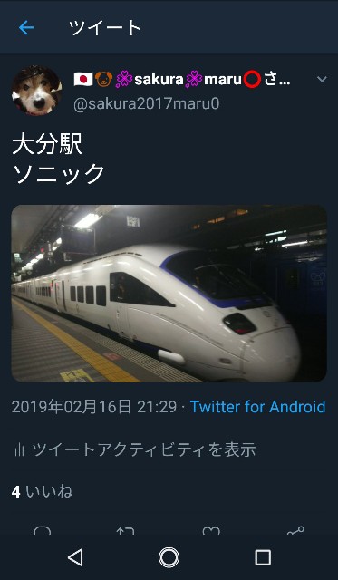 f:id:sakuramaru-japan:20190228161801j:image