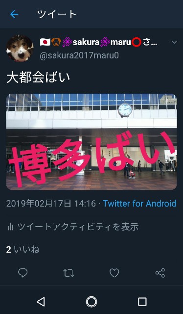 f:id:sakuramaru-japan:20190302140112j:image