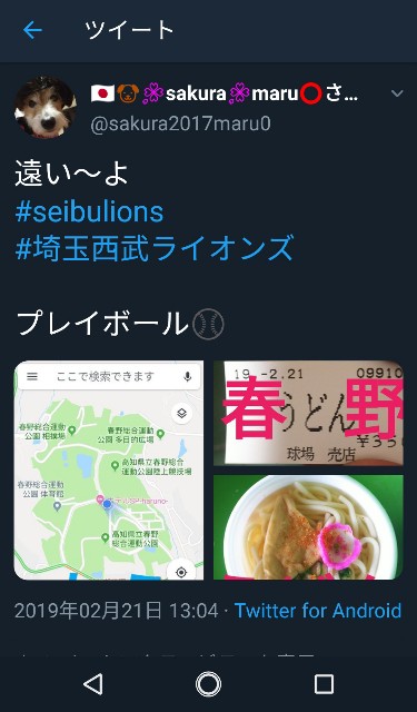 f:id:sakuramaru-japan:20190306184822j:image