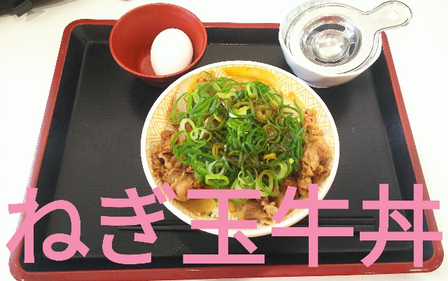 f:id:sakuramaru-japan:20190425101030j:image f:id:sakuramaru-japan:20190425101030j:image