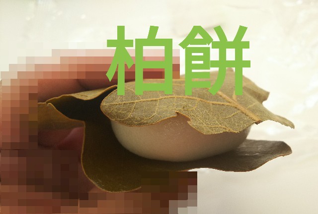 f:id:sakuramaru-japan:20190425175622j:image f:id:sakuramaru-japan:20190425175622j:image