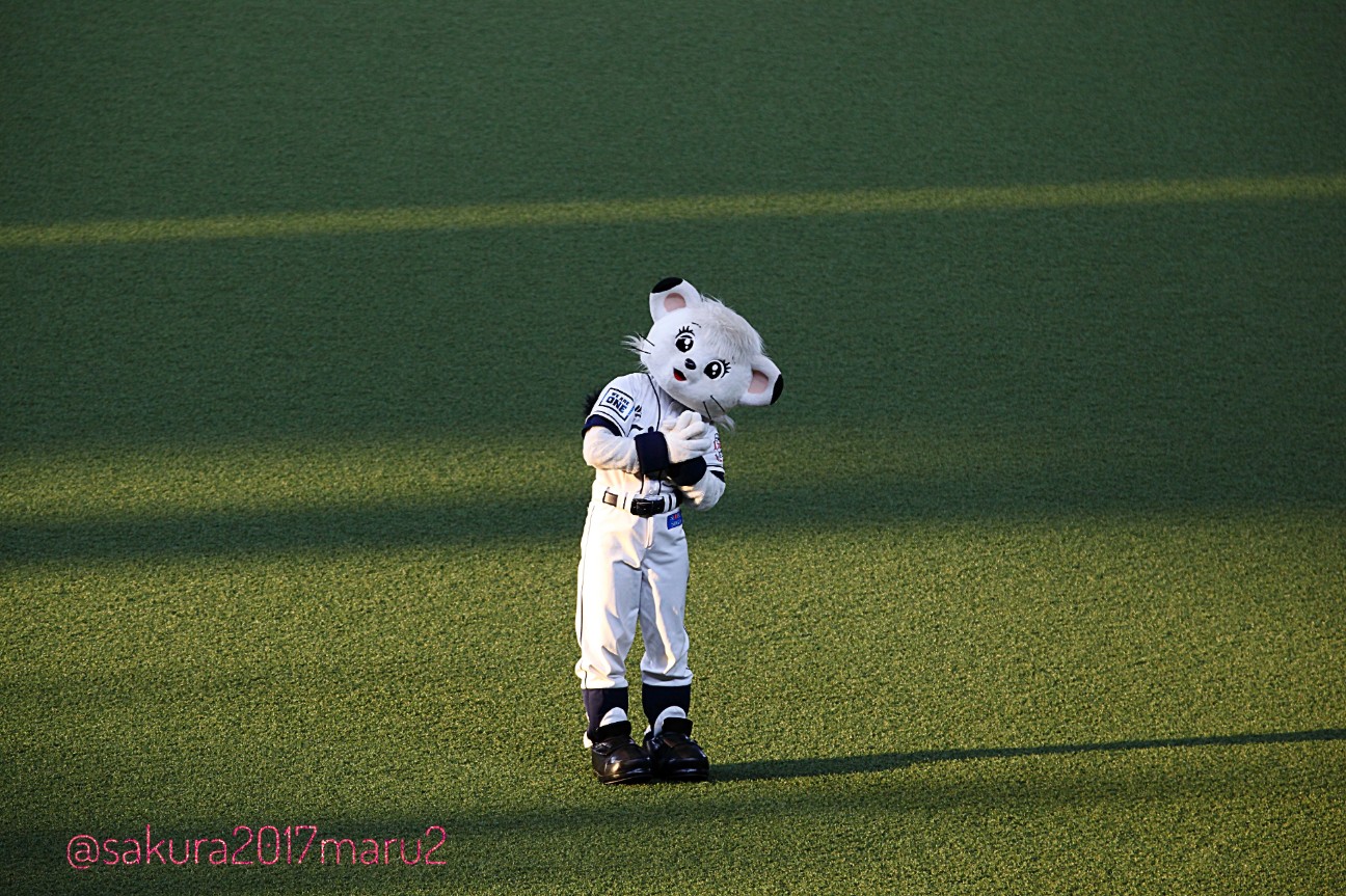 f:id:sakuramaru-japan:20200820002248j:image f:id:sakuramaru-japan:20200820002248j:image