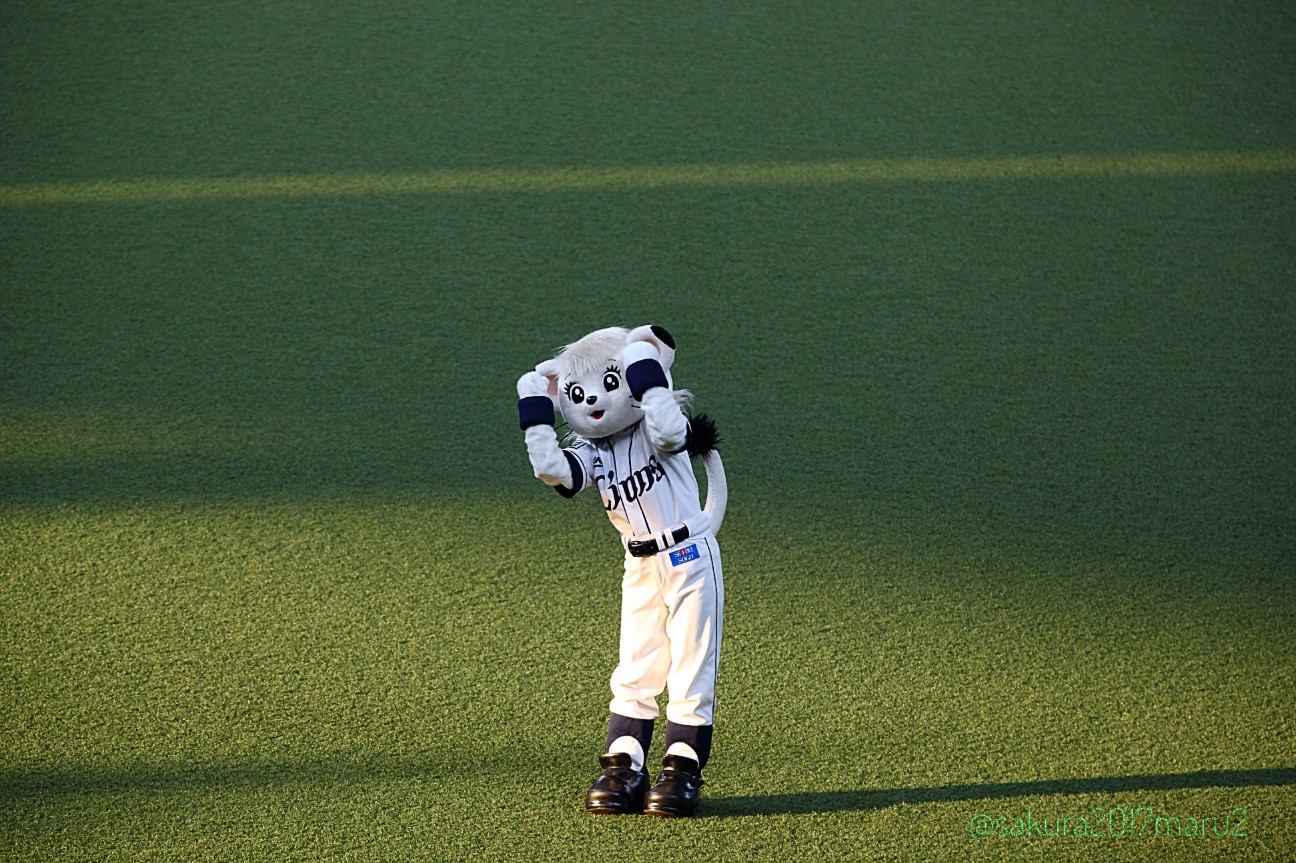 f:id:sakuramaru-japan:20200820002259j:image f:id:sakuramaru-japan:20200820002259j:image