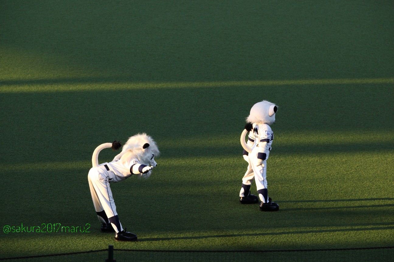 f:id:sakuramaru-japan:20200820002353j:image f:id:sakuramaru-japan:20200820002353j:image