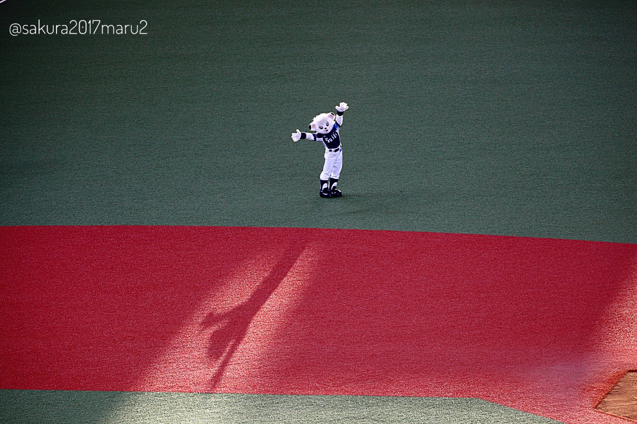f:id:sakuramaru-japan:20200901005556j:image f:id:sakuramaru-japan:20200901005556j:image