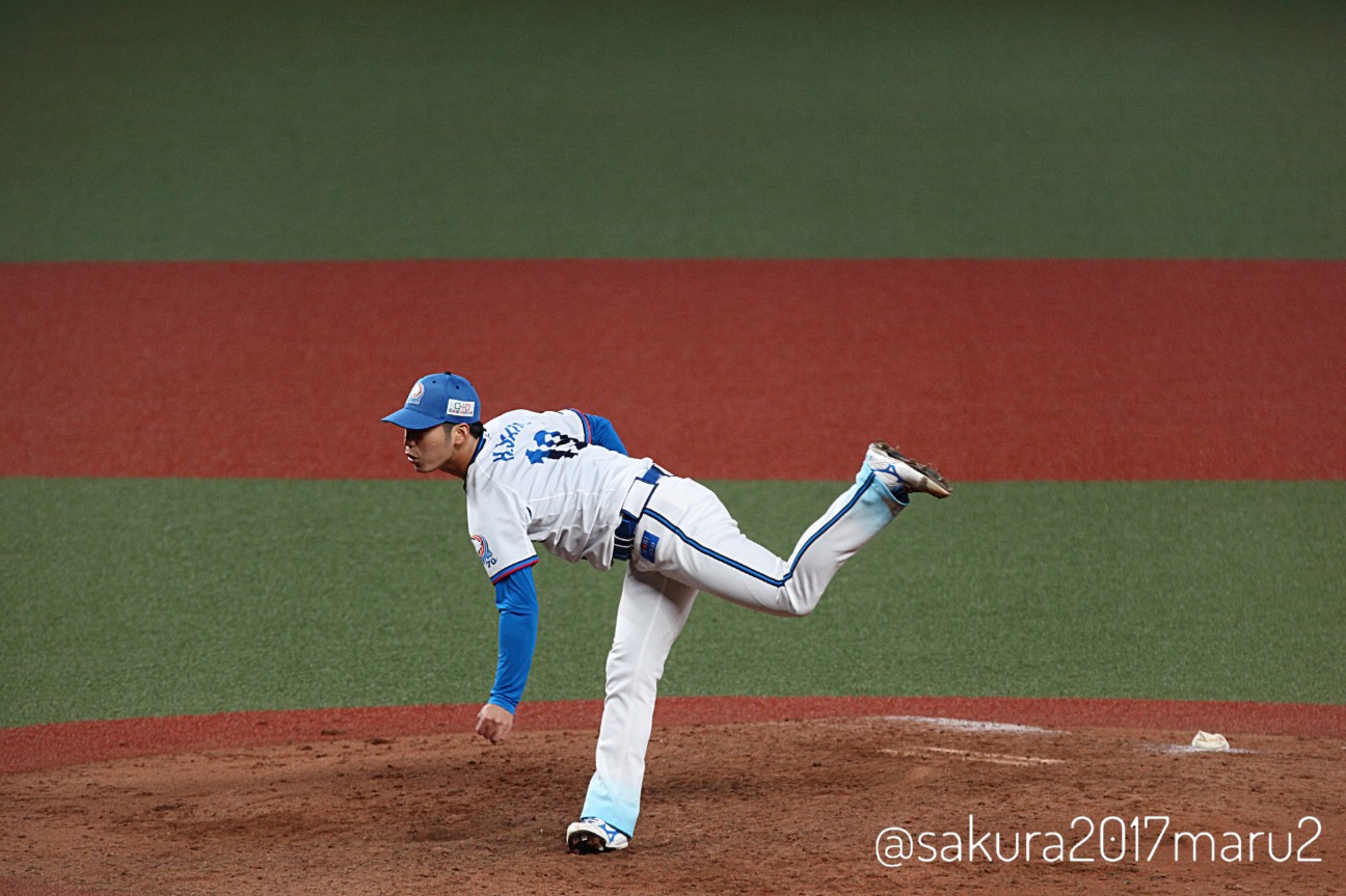 f:id:sakuramaru-japan:20201119002218j:image