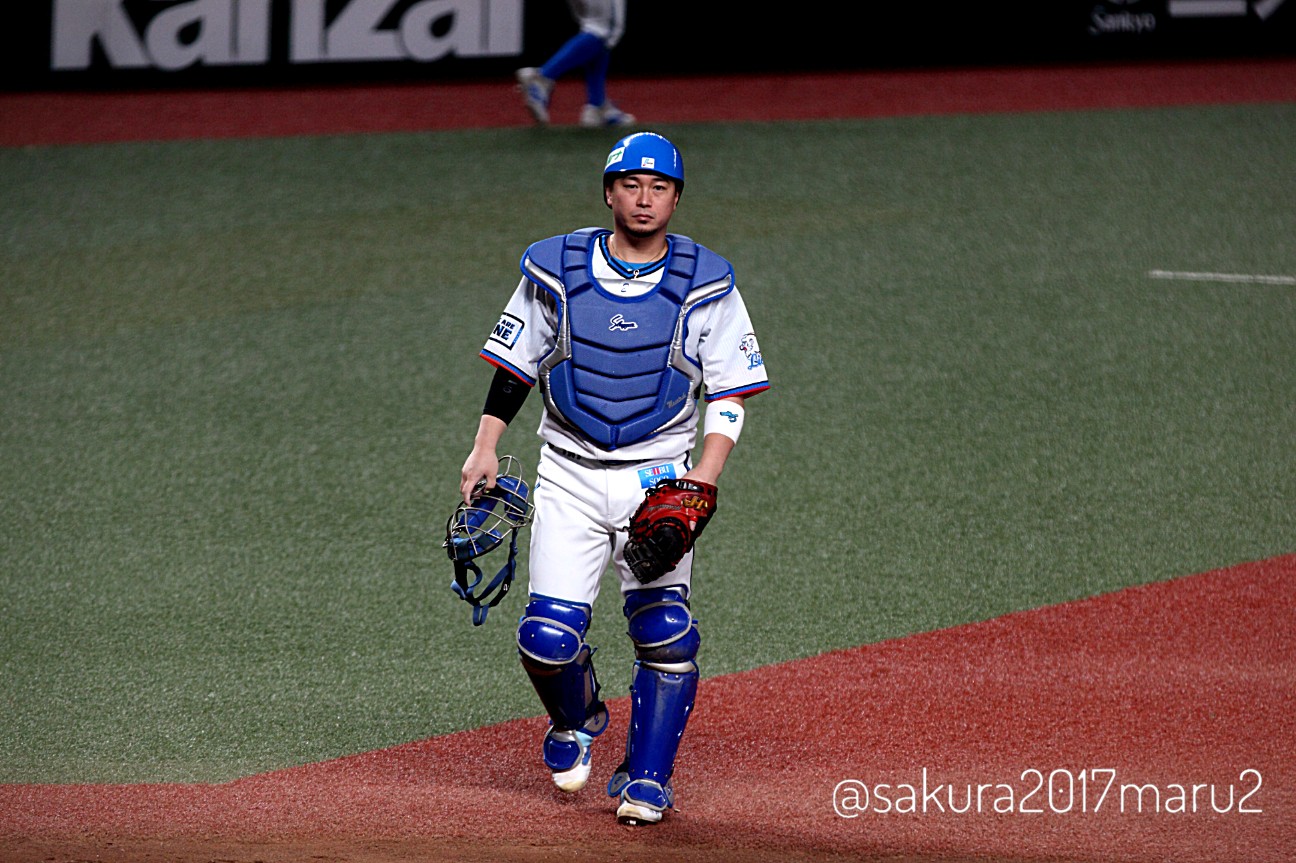 f:id:sakuramaru-japan:20201119002228j:image