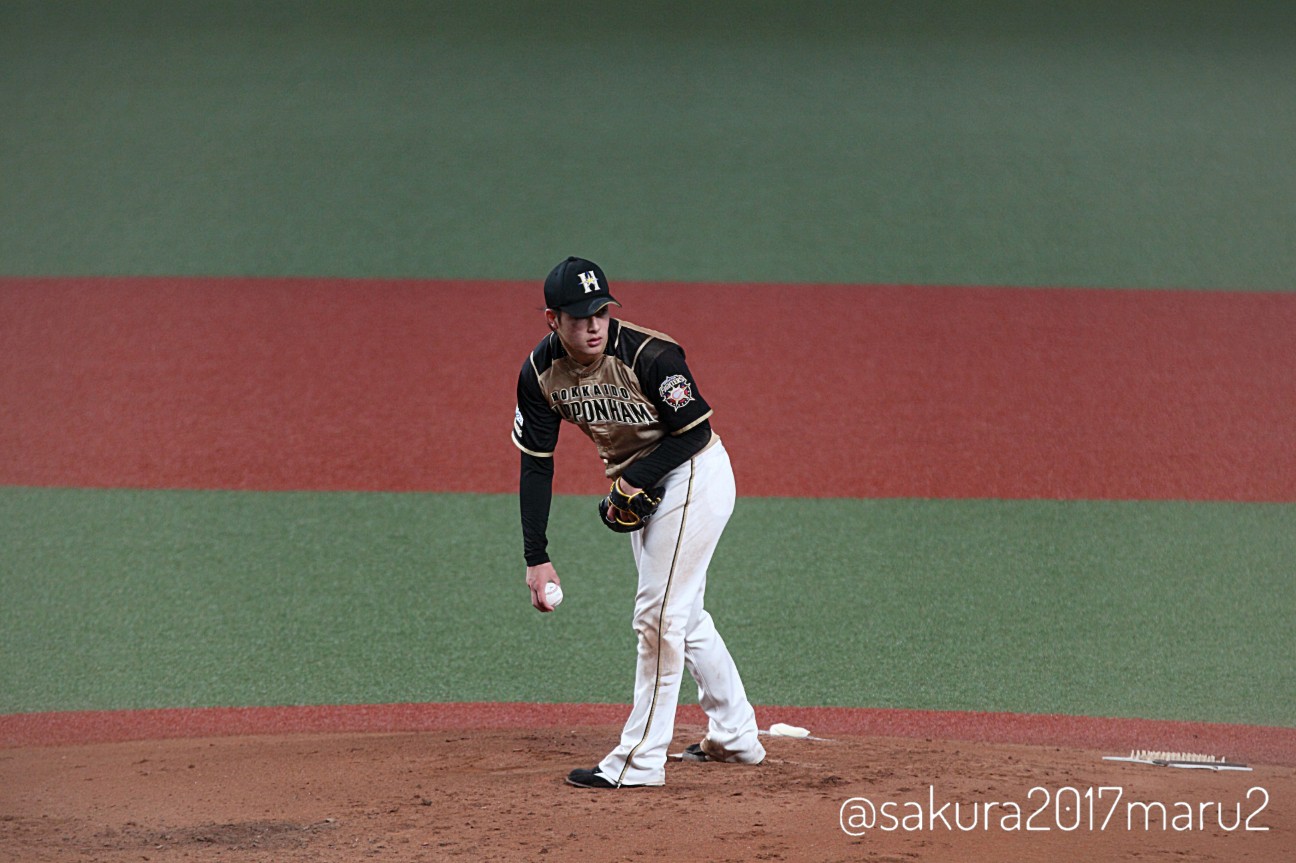 f:id:sakuramaru-japan:20201125005548j:image