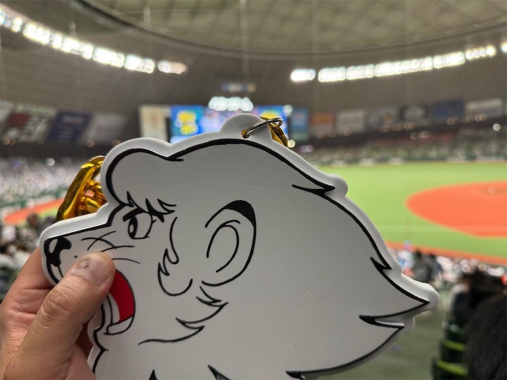 f:id:sakuramaru-japan:20250514220341j:image