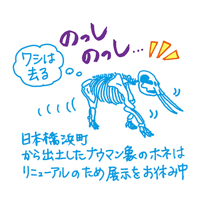 f:id:sakuramiyuki:20160419002113j:plain