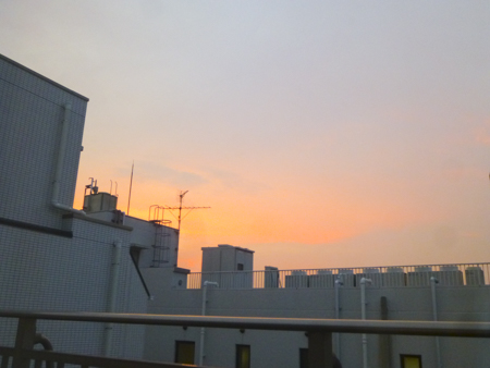 f:id:sakuramiyuki:20190816181433j:plain