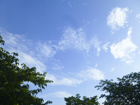 f:id:sakuramiyuki:20190816181609j:plain