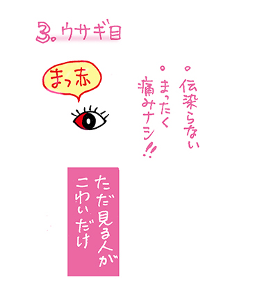 f:id:sakuramiyuki:20210102193256j:plain
