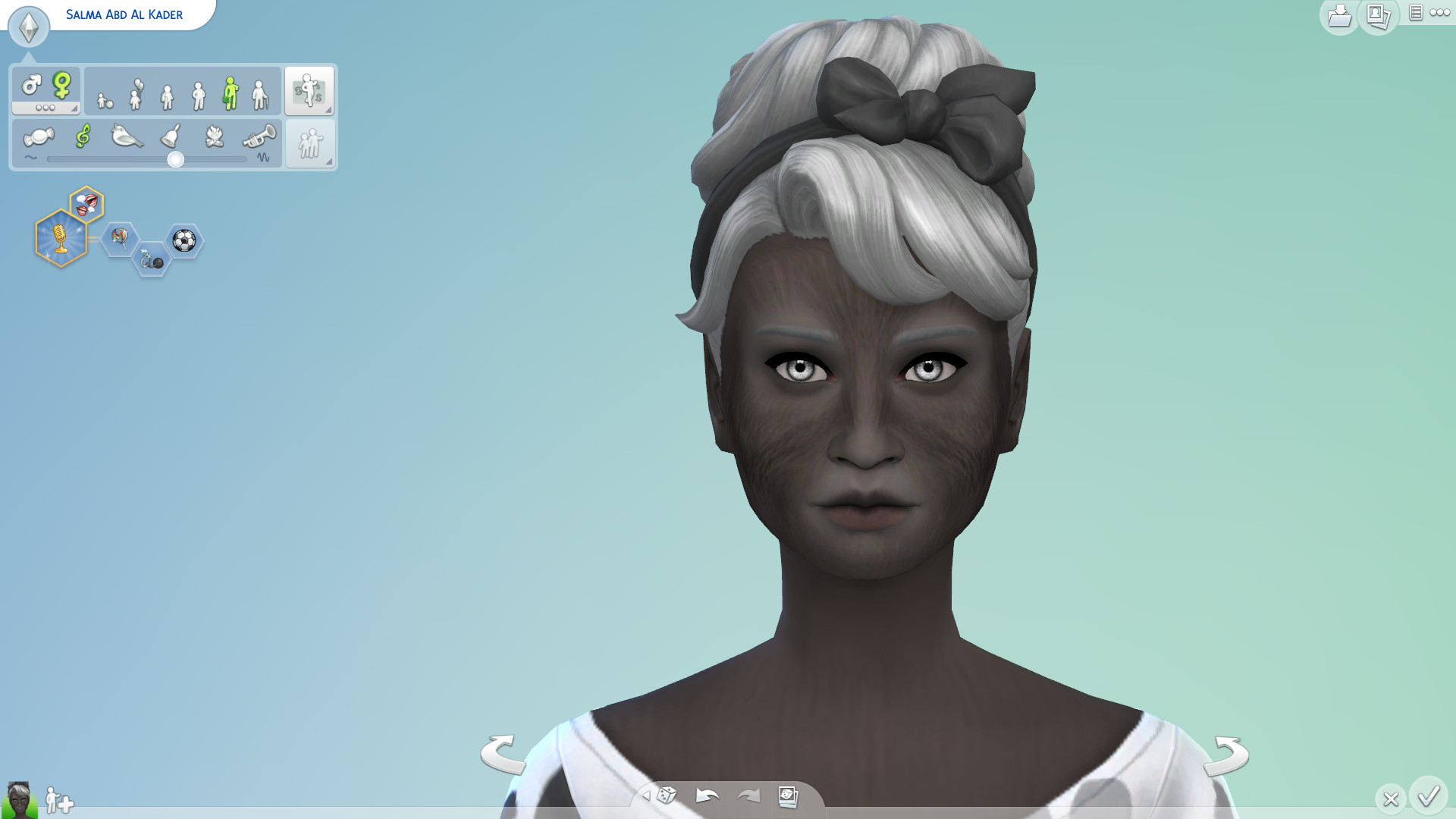 f:id:sakuramochi-kanari:20171230143914j:plain