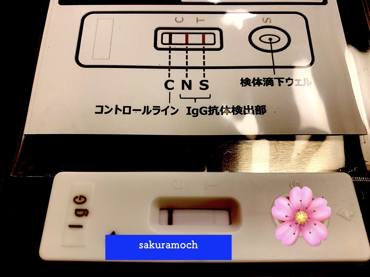 f:id:sakuramochislife:20210618012818j:plain