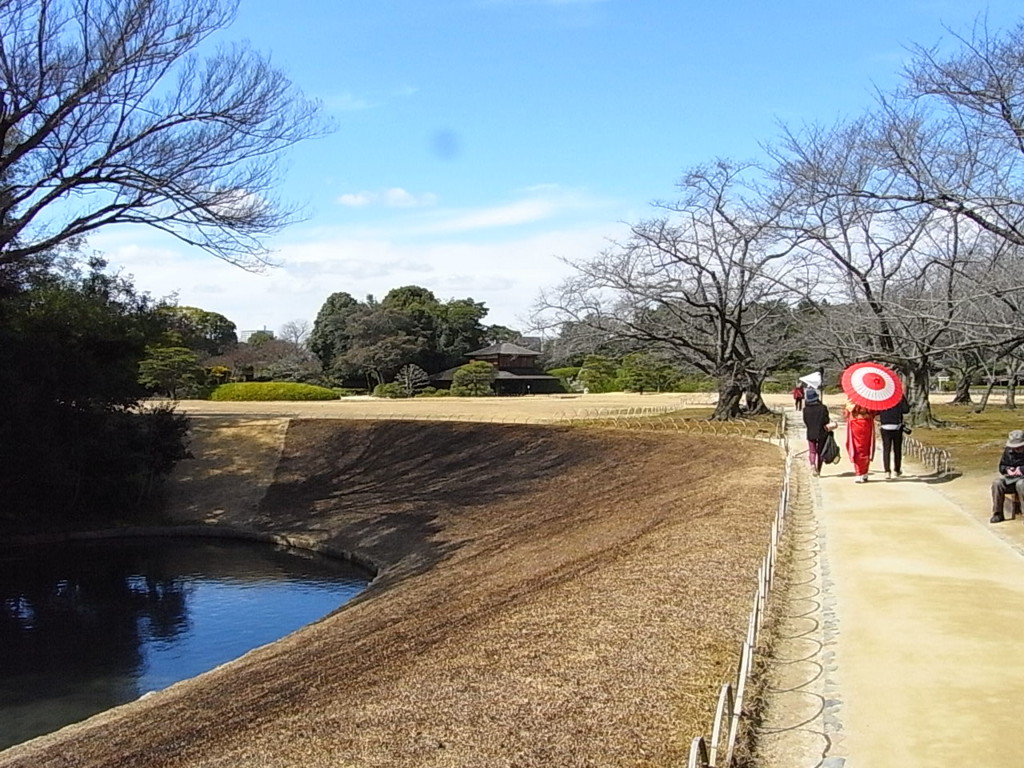 f:id:sakuramori:20170227130434j:plain