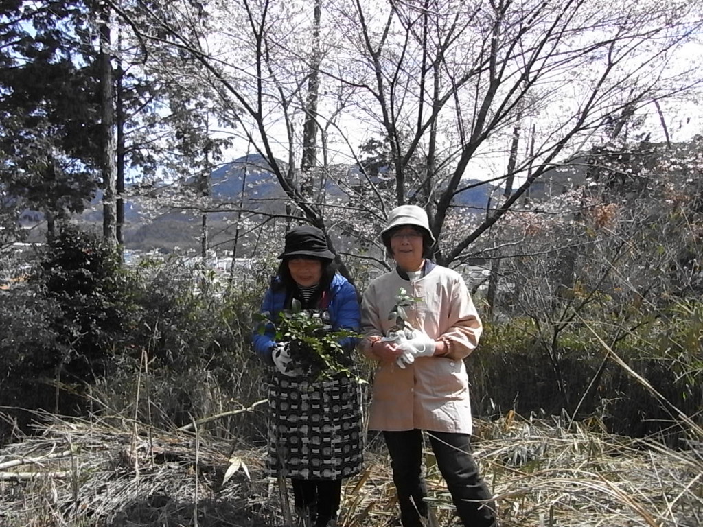f:id:sakuramori:20170324125737j:plain