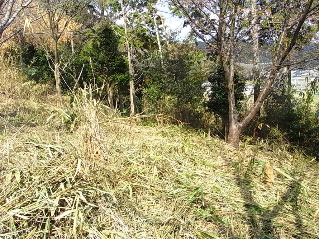 f:id:sakuramori:20170401151022j:plain