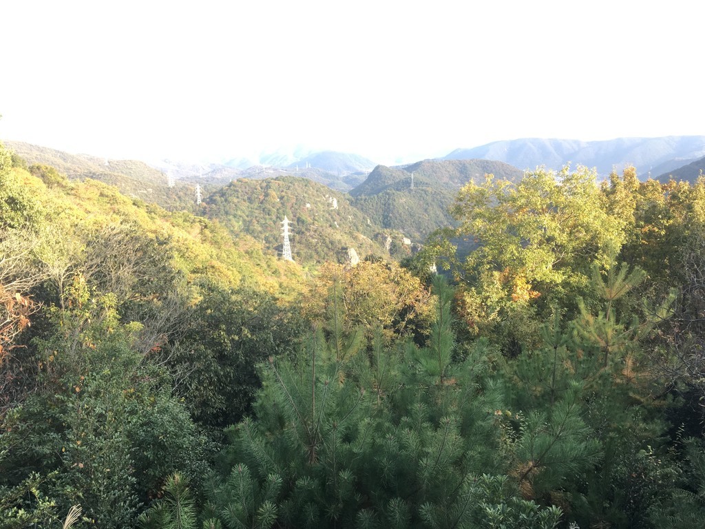 f:id:sakuramori:20181118152134j:plain