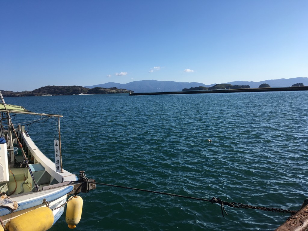 f:id:sakuramori:20190113134830j:plain