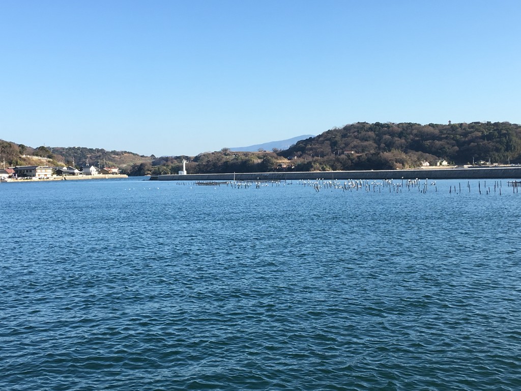 f:id:sakuramori:20190113152136j:plain