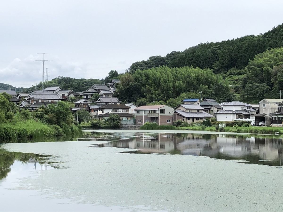 f:id:sakuramori:20200715064534j:plain
