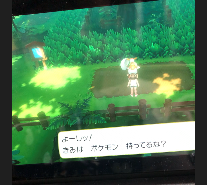 ポケットモンスターlet S Go イーブイ プレイ日記 Sakuramotitea Log