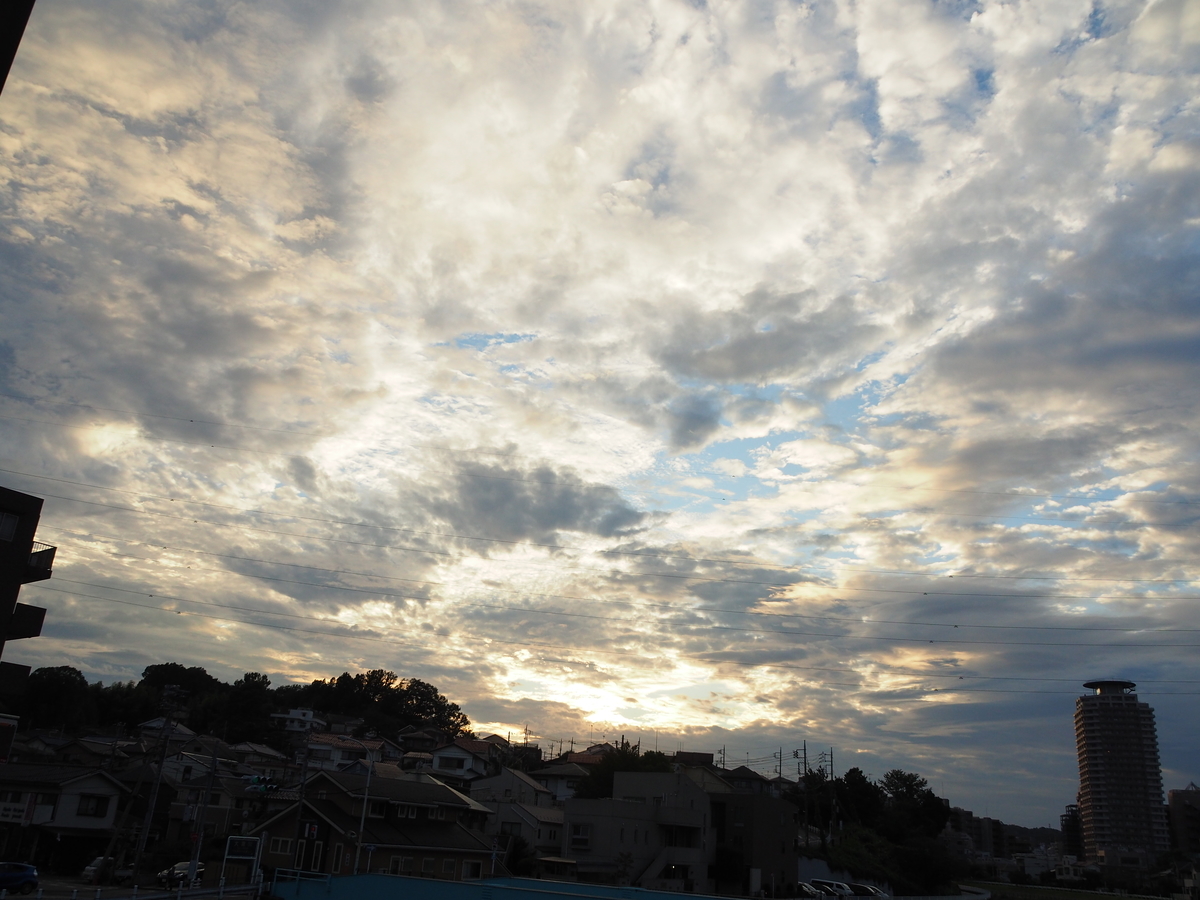 f:id:sakuramotitea:20191008130113j:plain