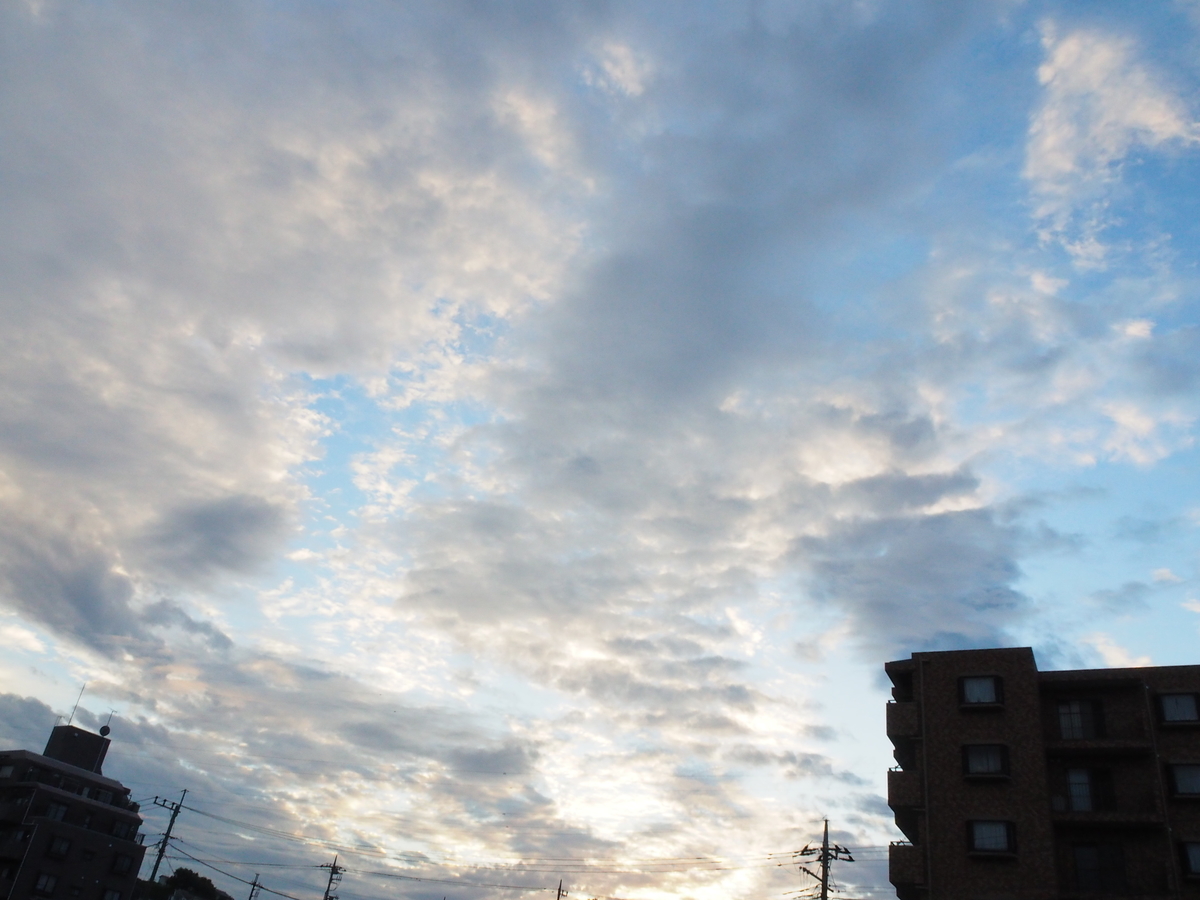 f:id:sakuramotitea:20191008130150j:plain