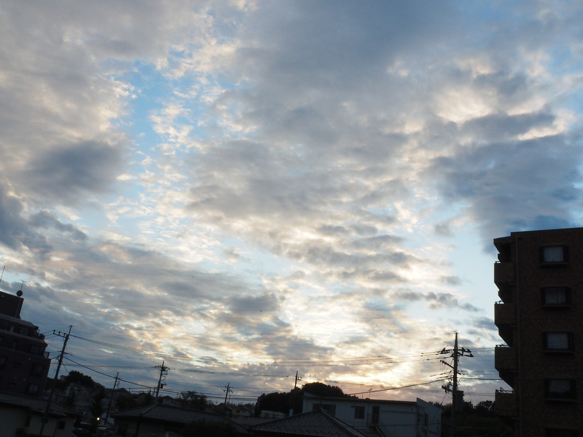 f:id:sakuramotitea:20191008130220j:plain