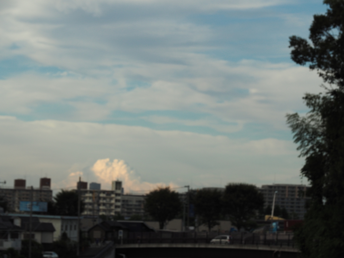 f:id:sakuramotitea:20191008130251j:plain
