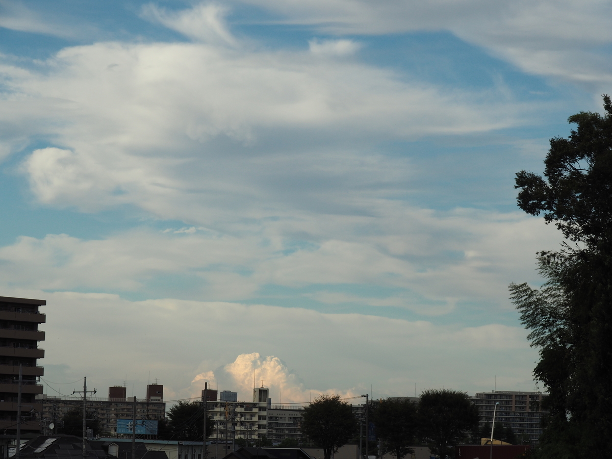f:id:sakuramotitea:20191008130305j:plain
