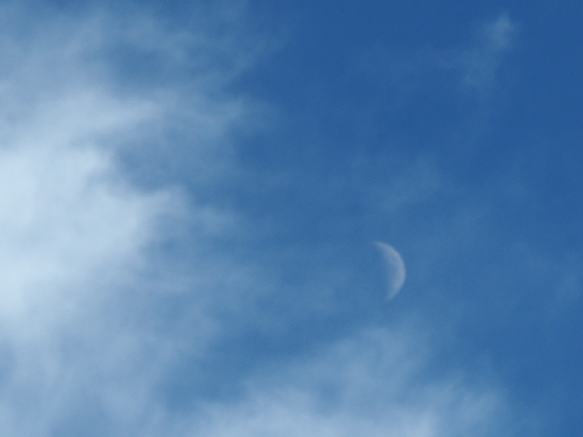 f:id:sakuramotitea:20191008130327j:plain