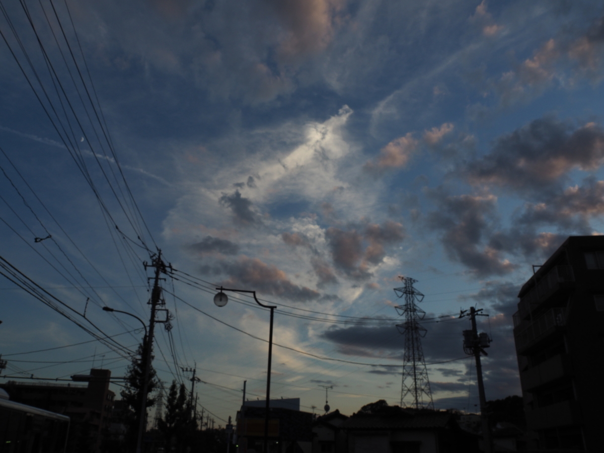 f:id:sakuramotitea:20191008130425j:plain