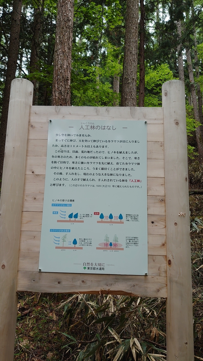 f:id:sakuranaot:20210613182432j:plain