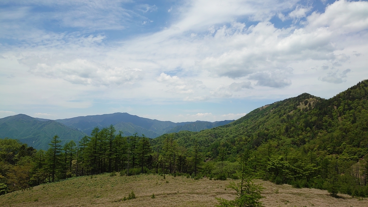 f:id:sakuranaot:20210613183206j:plain