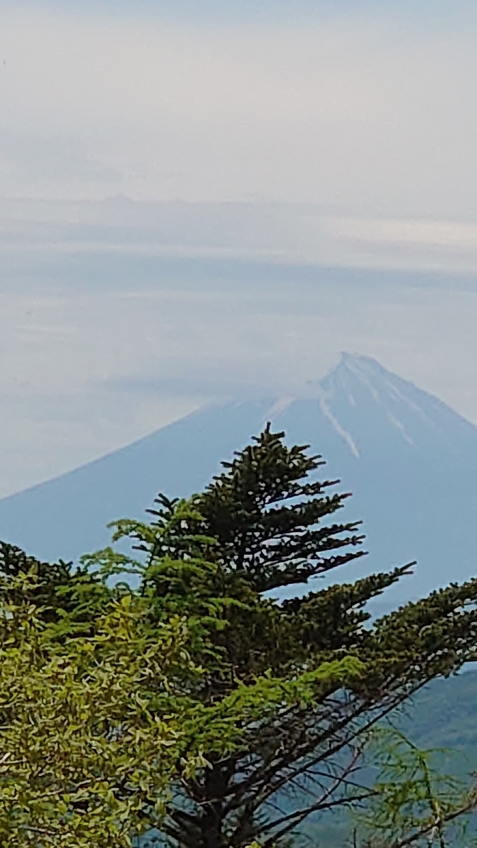 f:id:sakuranaot:20210613184936j:plain