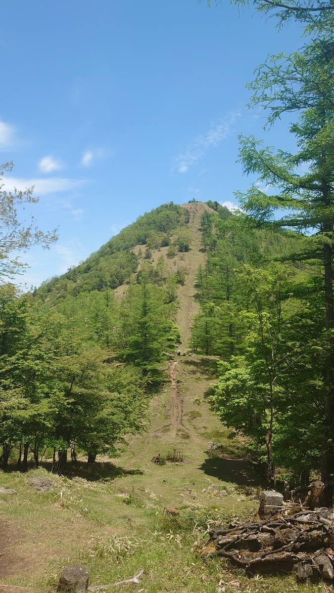 f:id:sakuranaot:20210613185149j:plain