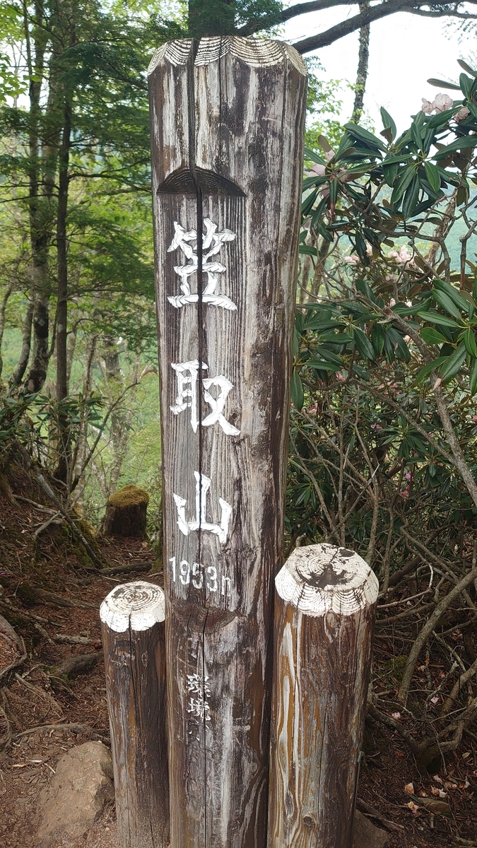 f:id:sakuranaot:20210613190101j:plain