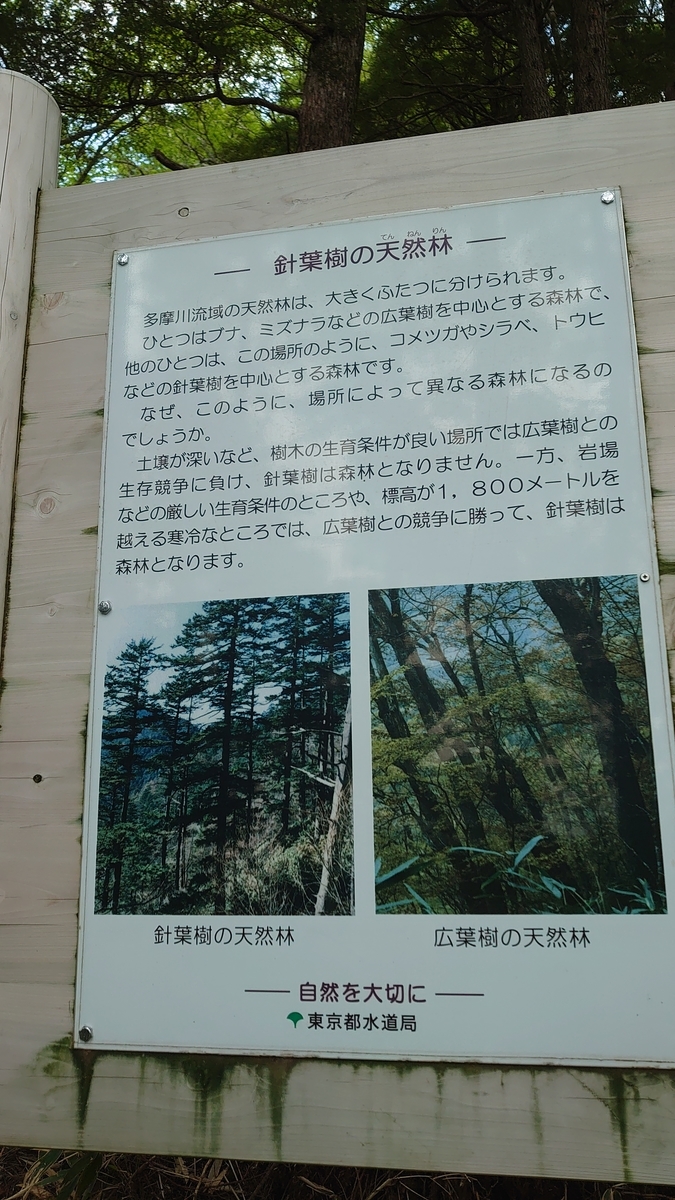 f:id:sakuranaot:20210613192601j:plain