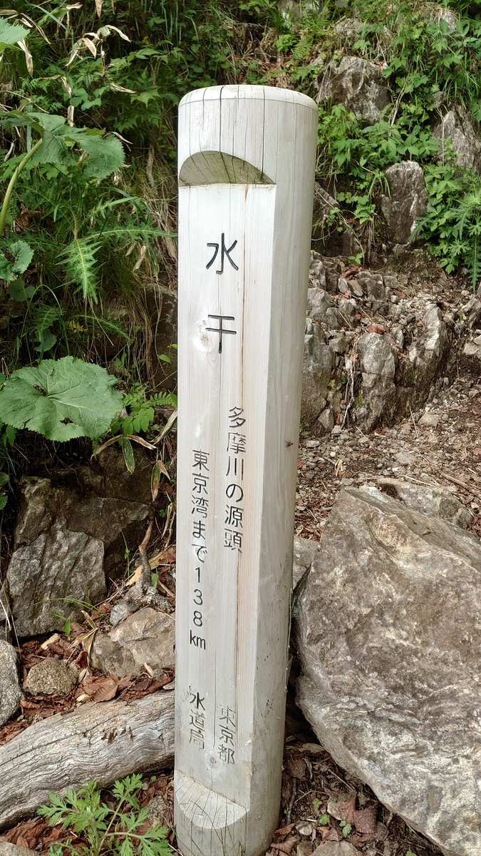 f:id:sakuranaot:20210613192749j:plain