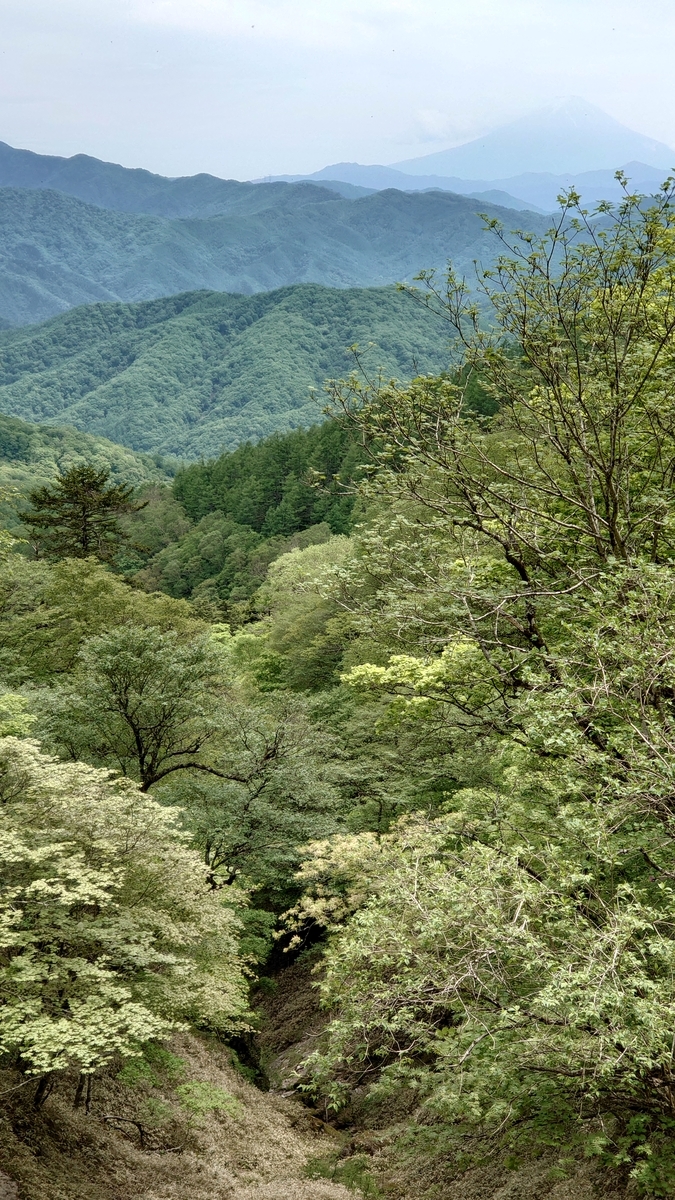 f:id:sakuranaot:20210613193147j:plain