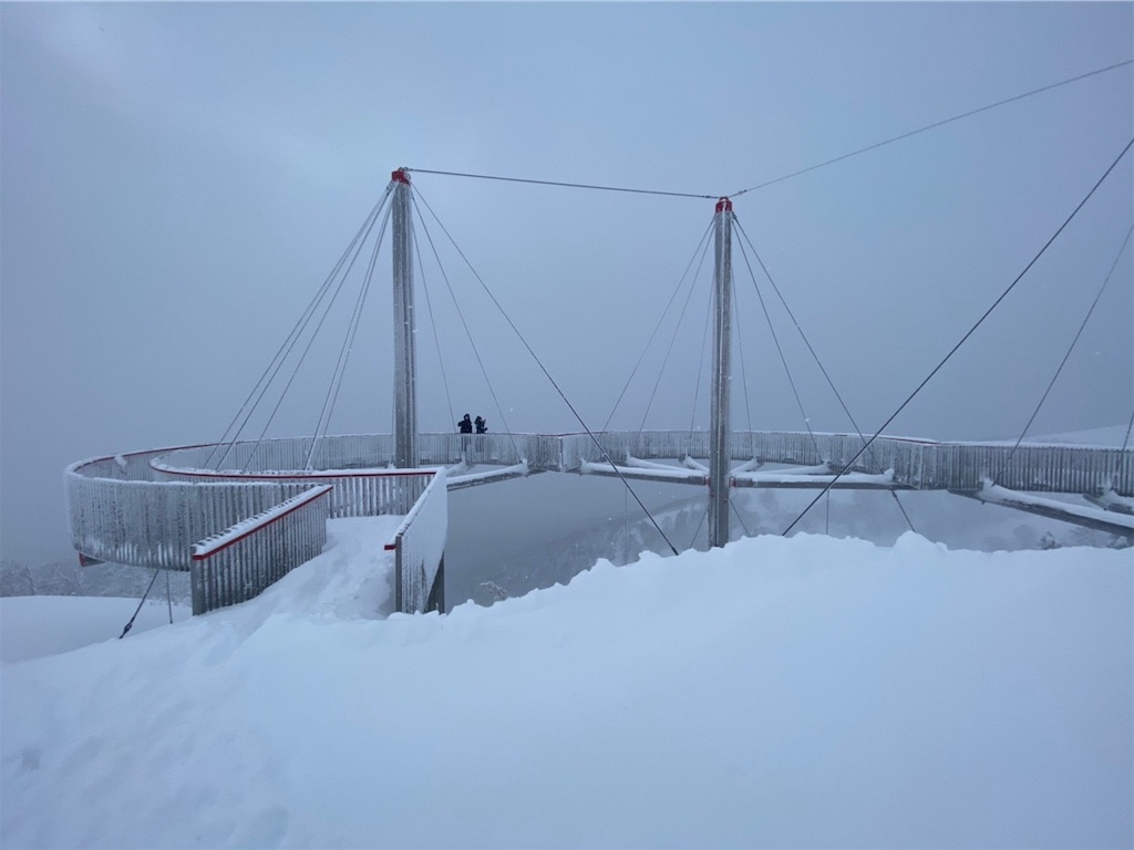 f:id:sakuranboblog417:20220116003546j:image f:id:sakuranboblog417:20220116003546j:image