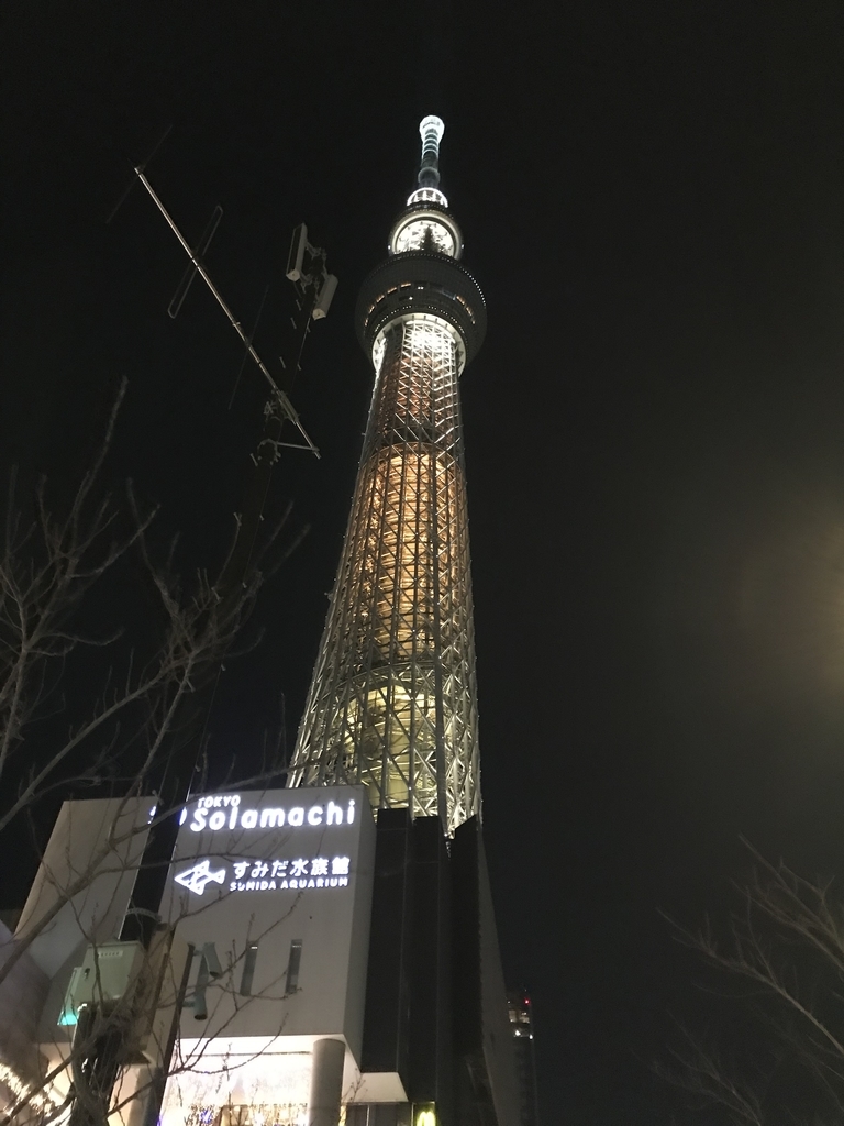 f:id:sakuranbochang:20190310103556j:plain f:id:sakuranbochang:20190310103556j:plain