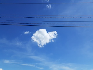 f:id:sakuraneko358:20190812042416j:plain